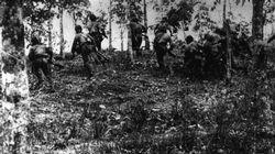 Japanese troops advance through a Malayan rubber plantation, December 1941.