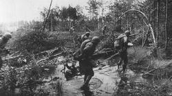 Troops of the 1st Byelorussian Front move though a German occupied wood near Bobruisk.